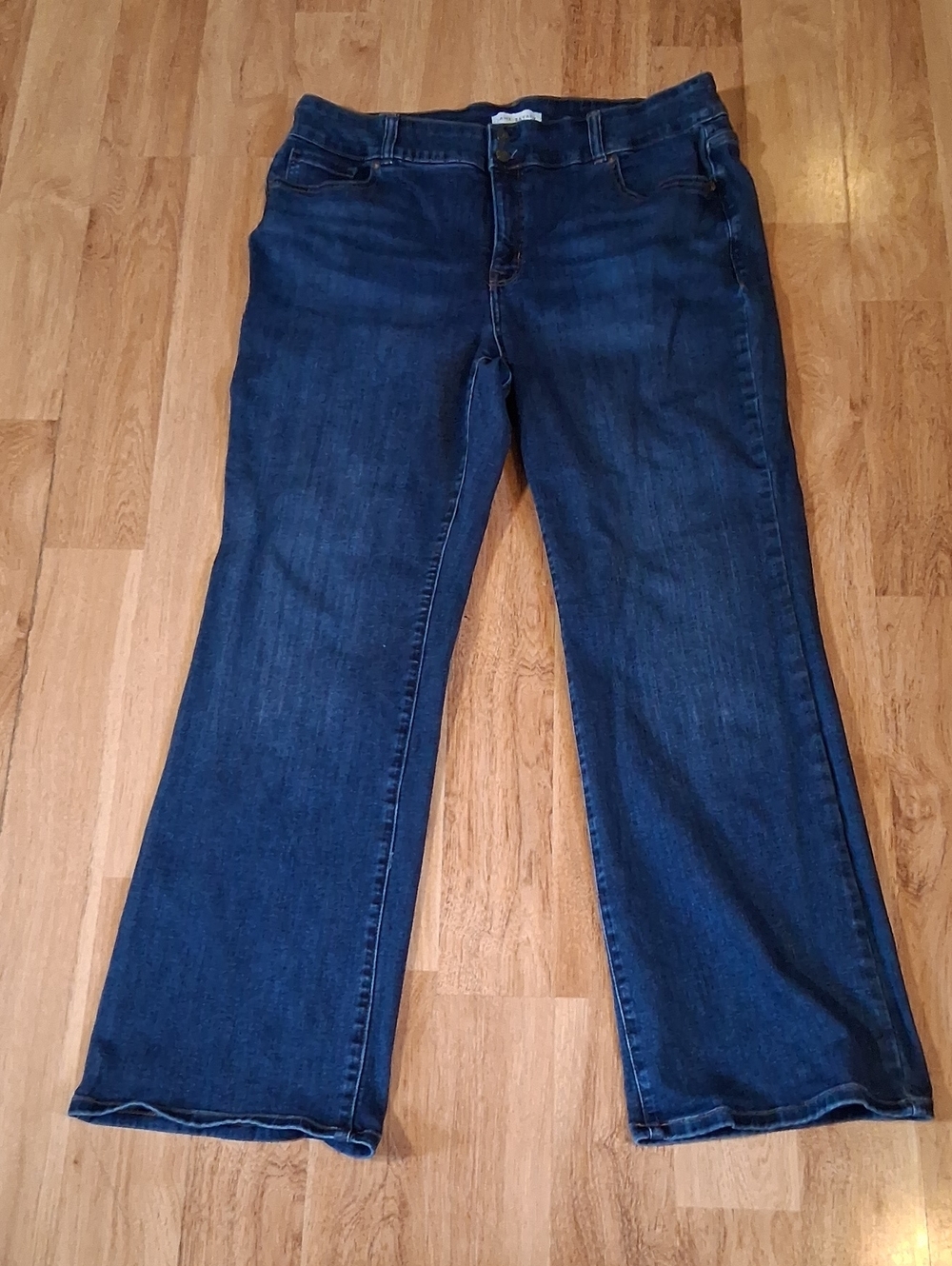 Lane Bryant Blue Flare Jeans